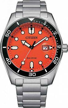 AW1760-81X