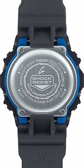 DW-5600RS-8